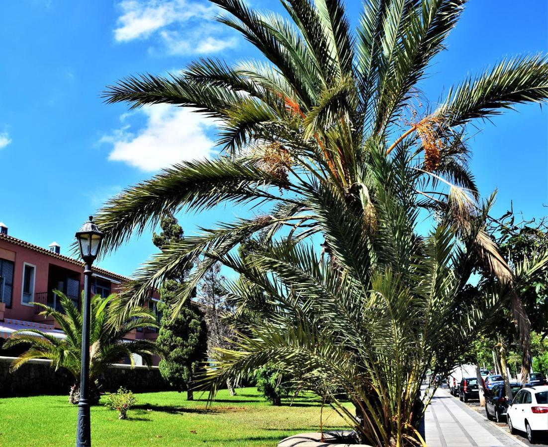 Victoria Family Apartman Tenerife Costa Del Silencio Eksteriør bilde